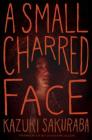 A Small Charred Face Cover Image
