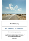 So Present, So Invisible: Conversations on Photography By David Campany, Jeff Wall (Contribution by), Susan Meiselas (Contribution by) Cover Image