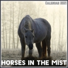 Horses in the Mist Calendar 2021: Official Horses in the Mist Calendar 2021, 12 Months By Classic Part Studio Cover Image
