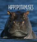 Living Wild: Hippos Cover Image