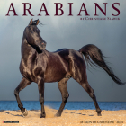 Arabians 2025 12 X 12 Wall Calendar By Willow Creek Press Cover Image