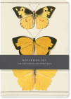 Butterfly Notebook Set: 3 A5 ruled notebooks with stitched spines  By Bodleian Library Cover Image