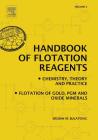 Handbook of Flotation Reagents: Chemistry, Theory and Practice: Volume 2: Flotation of Gold, Pgm and Oxide Minerals By Srdjan M. Bulatovic Cover Image