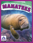 Manatees By Katie Chanez Cover Image