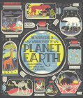 The Wondrous Workings of Planet Earth: Understanding Our World and Its Ecosystems By Rachel Ignotofsky Cover Image