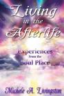 Living in the Afterlife: Experiences from the Soul Place By Michele A. Livingston Cover Image
