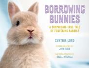 Borrowing Bunnies: A Surprising True Tale of Fostering Rabbits By Cynthia Lord, Hazel Mitchell (Illustrator), John Bald (Photographs by) Cover Image