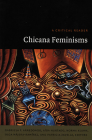 Chicana Feminisms: A Critical Reader (Post-Contemporary Interventions) Cover Image