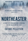 Northeaster: A Story of Courage and Survival in the Blizzard of 1952 By Cathie Pelletier Cover Image
