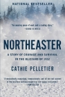 Northeaster: A Story of Courage and Survival in the Blizzard of 1952 Cover Image