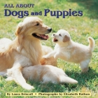 All about Dogs and Puppies (All Aboard 8x8s) By Laura Driscoll Cover Image