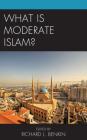 What Is Moderate Islam? By Richard L. Benkin (Editor), Navras Jaat Aafreedi (Contribution by), Anonymous (Contribution by) Cover Image