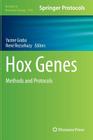 Hox Genes: Methods and Protocols (Methods in Molecular Biology #1196) By Yacine Graba (Editor), René Rezsohazy (Editor) Cover Image