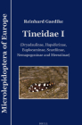 Tineidae I: (Dryadaulinae, Hapsiferinae, Euplocaminae, Scardiinae, Nemapogoninae and Meessiinae) (Microlepidoptera of Europe #7) Cover Image