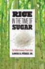 Rice in the Time of Sugar: The Political Economy of Food in Cuba Cover Image