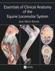 Essentials of Clinical Anatomy of the Equine Locomotor System By Jean-Marie Denoix Cover Image
