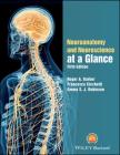 Neuroanatomy and Neuroscience at a Glance Cover Image