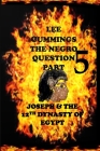 The Negro Question Part 5 Joseph and the 12th dynasty of Egypt Cover Image