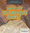 What Are Sedimentary Rocks? (Junior Geologist) By Jennifer Culp Cover Image