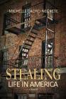 Stealing: Life In America: A Collection of Essays By Michelle Cacho-Negrete Cover Image