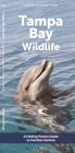 Tampa Bay Wildlife: A Folding Pocket Guide to Familiar Animals (Pocket Naturalist Guide) Cover Image
