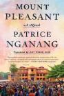 Mount Pleasant: A Novel By Patrice Nganang, Amy B. Reid (Translated by) Cover Image