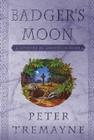 Badger's Moon: A Mystery of Ancient Ireland Cover Image