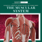 The Muscular System By Leigh McClure Cover Image