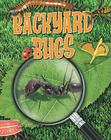 Backyard Bugs By Louise A. Spilsbury Cover Image