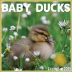 Baby Ducks Calendar 2021: Official Baby Ducks Calendar 2021, 12 Months By Classic Art Fabric Cover Image