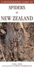A Photographic Guide To Spiders Of New Zealand Cover Image