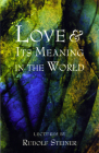Love and Its Meaning in the World Cover Image