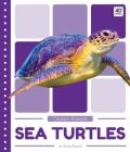 Sea Turtles By Emma Bassier Cover Image