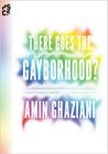 There Goes the Gayborhood? (Princeton Studies in Cultural Sociology #68) By Amin Ghaziani Cover Image