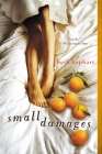 Small Damages By Beth Kephart Cover Image