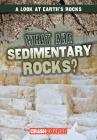 What Are Sedimentary Rocks? (Look at Earth's Rocks) By Frances Nagle Cover Image