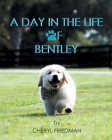 A Day in the Life of Bentley By Cheryl Friedman Cover Image