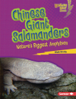 Chinese Giant Salamanders: Nature's Biggest Amphibian Cover Image