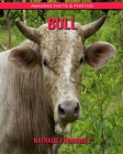 Bull: Amazing Facts & Photos By Nathalie Fernandez Cover Image