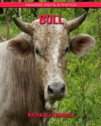 Bull: Amazing Facts & Photos Cover Image