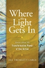 Where the Light Gets In: Stories about the Transformative Power of One Action Cover Image