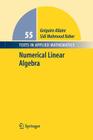 Numerical Linear Algebra (Texts in Applied Mathematics #55) By Grégoire Allaire, K. Trabelsi (Translator), Sidi Mahmoud Kaber Cover Image