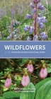 Wildflowers of the Indiana Dunes National Park By Nathanael Pilla, Scott Namestnik Cover Image