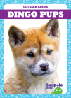 Dingo Pups Cover Image