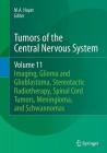 Tumors of the Central Nervous System, Volume 11: Pineal, Pituitary, and Spinal Tumors By M. A. Hayat (Editor) Cover Image