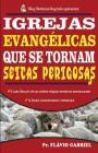 Igrejas Evangelicas que se Tornam Seitas Perigosas: O lado obscuro de um sistema religioso desmascarado By Flavio Gabriel Da Silva Cover Image