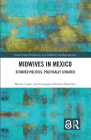 Midwives in Mexico: Situated Politics, Politically Situated By Hanna Laako, Georgina Sánchez-Ramírez Cover Image
