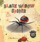 Black Widow Spider By William Anthony Cover Image
