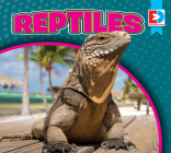 Reptiles (Eyediscover) By Maria Koran Cover Image