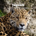 Jaguars 8.5 X 8.5 Calendar September 2021 -December 2022: Monthly Calendar with U.S./UK/ Canadian/Christian/Jewish/Muslim Holidays Big Cats Animals Na Cover Image